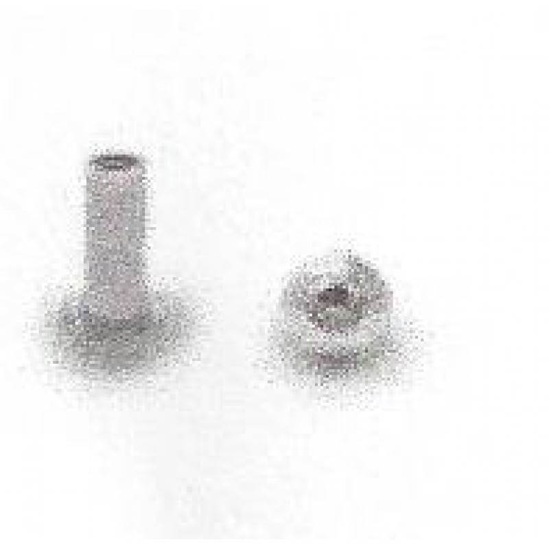 Stainless Steel, 10-24 X 5/8 6 Lobe, Security Torx Barrel Nut With Center  Pin 100 Pack 08821 - TPH Supply – TPH Supply Corp.